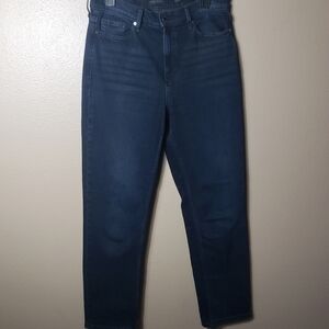 Banana Republic Premium Denim High-Rise Straight Jeans-Size 30L